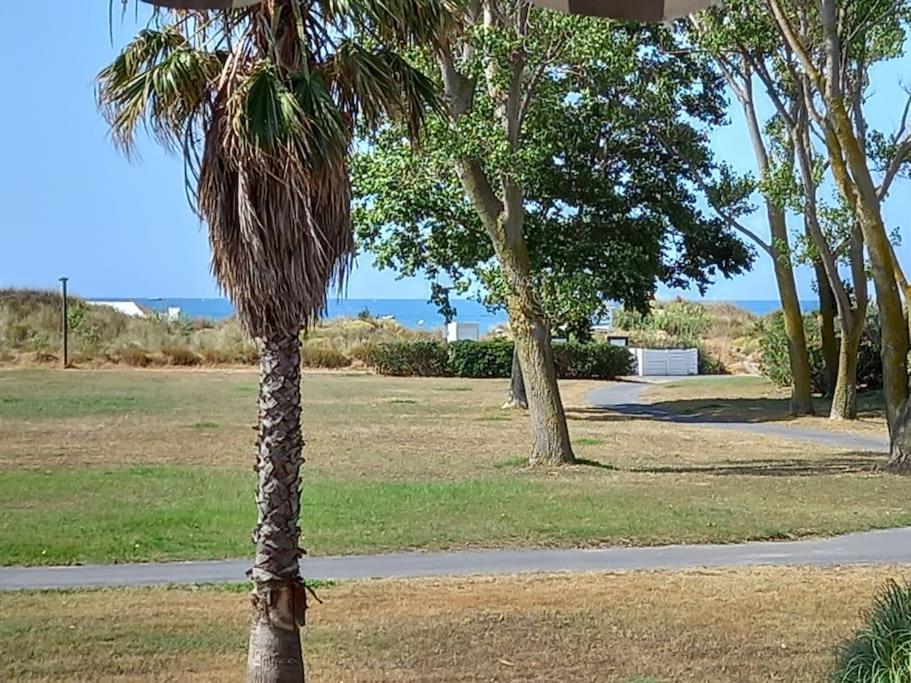 Amouvera C14, T2 Vue Mer, Piscine, Clim, Parking Agde Luaran gambar